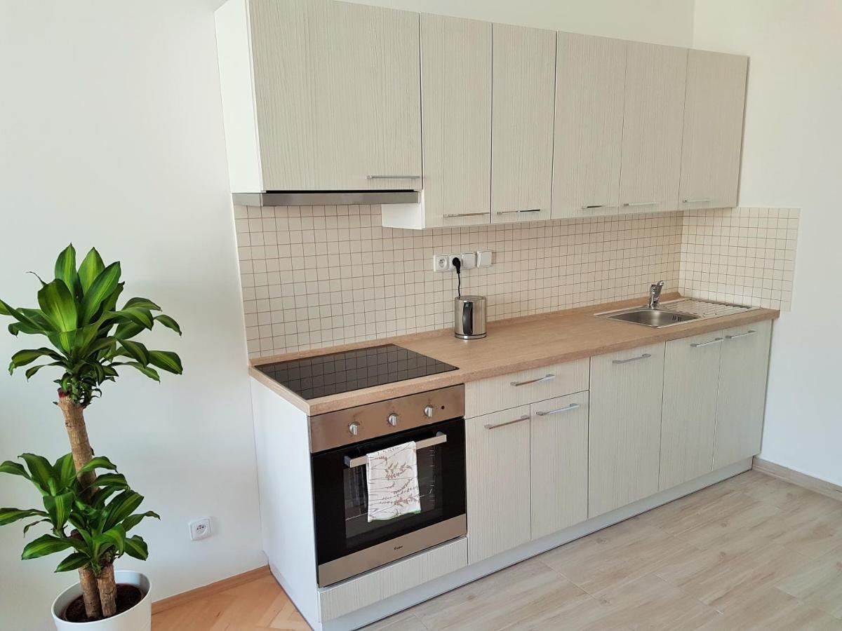 Apartment Blanicka 9